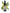No 108 Tarata flower essence, 10ml stock oral dropper bottle