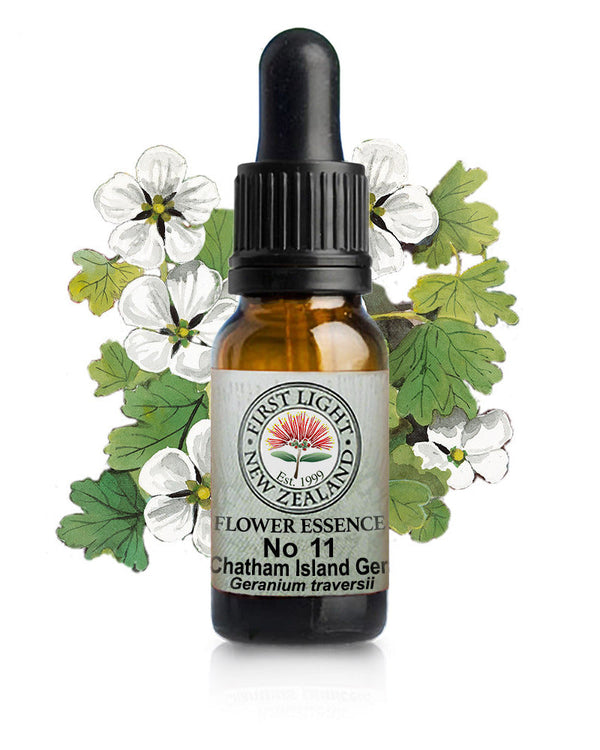 No 11 Chatham Island Geranium flower essence, 10ml stock oral dropper bottle