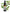 No 110 Pukatea flower essence, 10ml stock oral dropper bottle