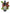 No 113 Titoki flower essence, 10ml stock oral dropper bottle