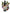 No 114 Taraire flower essence, 10ml stock oral dropper bottle