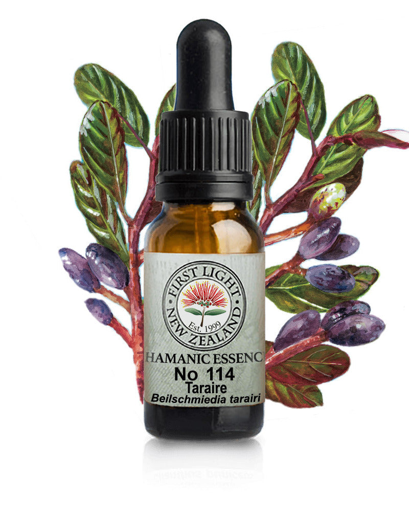 No 114 Taraire flower essence, 10ml stock oral dropper bottle