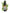 No 116 Alpine Baby Fern flower essence, 10ml stock oral dropper bottle
