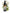No 117 Clutha River Daisy flower essence, 10ml stock oral dropper bottle