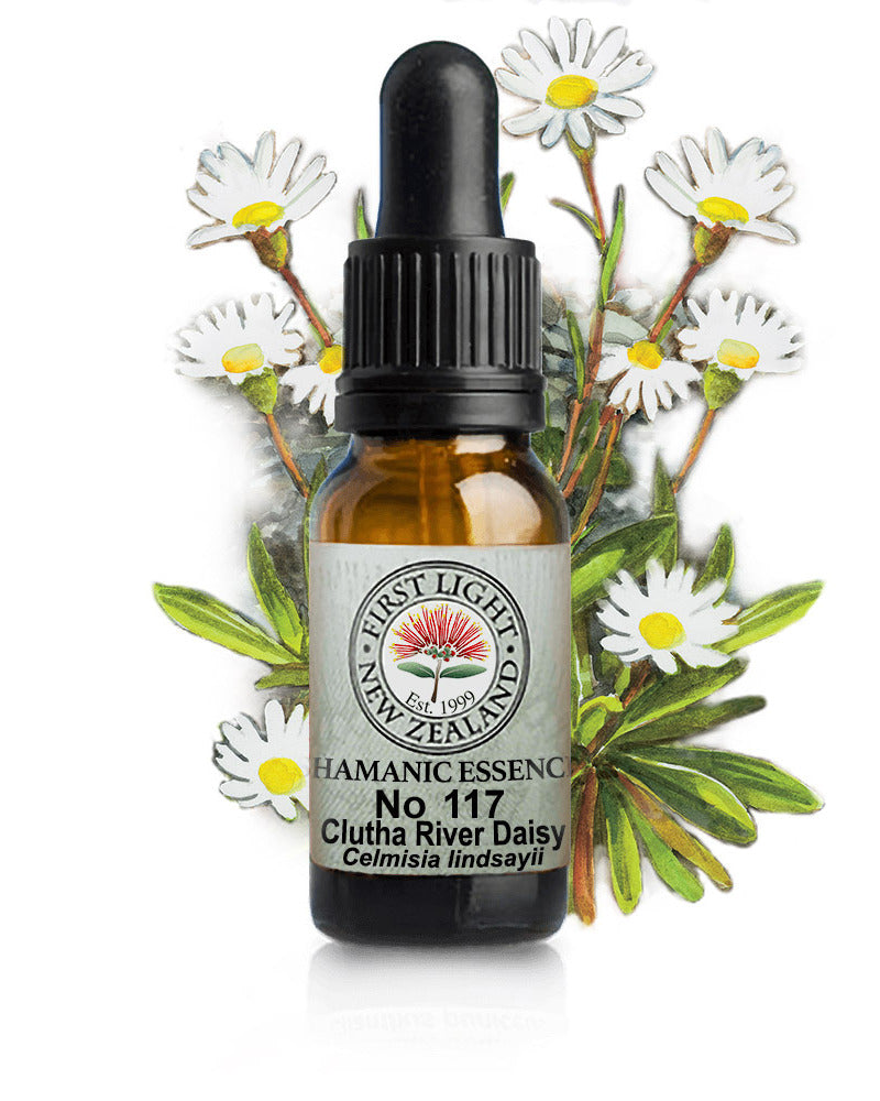 No 117 Clutha River Daisy flower essence, 10ml stock oral dropper bottle