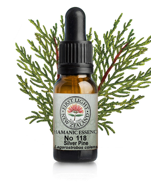 No 118 Silver Pine flower essence, 10ml stock oral dropper bottle