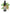 No 119 Hutu flower essence, 10ml stock oral dropper bottle