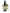 No 121 Forest Orchid flower essence, 10ml stock oral dropper bottle