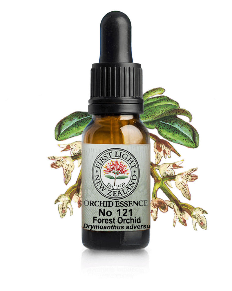 No 121 Forest Orchid flower essence, 10ml stock oral dropper bottle
