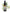 No 122 Fairy Bouquet Orchid flower essence, 10ml stock oral dropper bottle