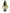 No 123 Spring Orchid flower essence, 10ml stock oral dropper bottle
