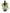 No 125 Elfshood Orchid flower essence, 10ml stock oral dropper bottle