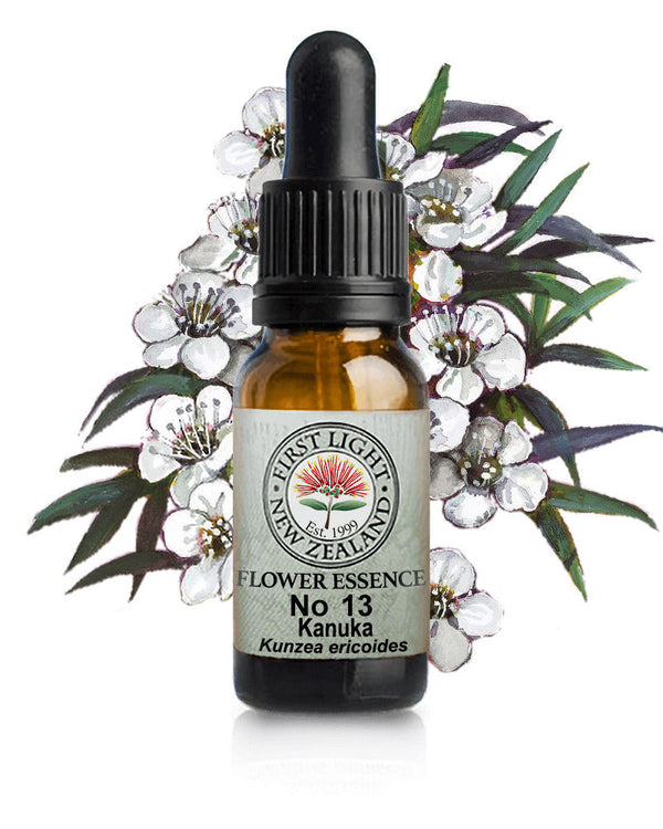No 13 Kanuka flower essence, 10ml stock oral dropper bottle
