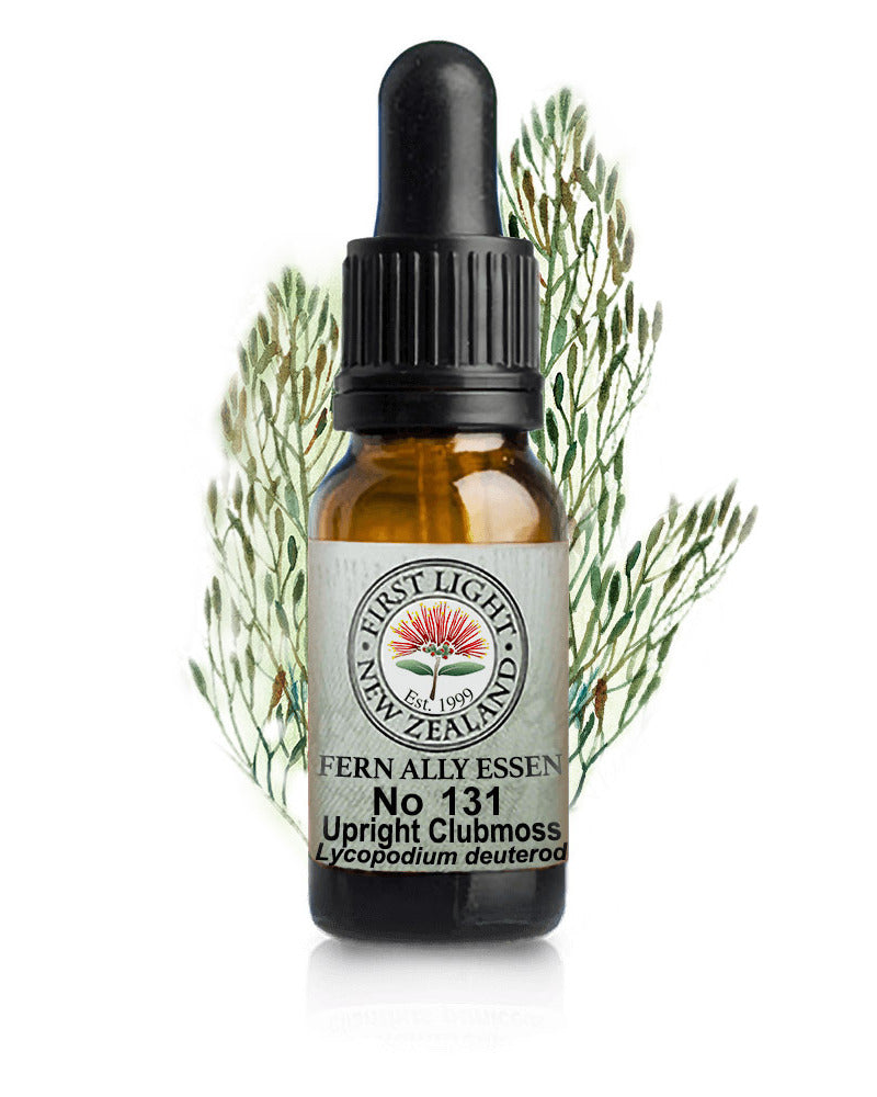 No 131 Upright Clubmoss flower essence, 10ml stock oral dropper bottle