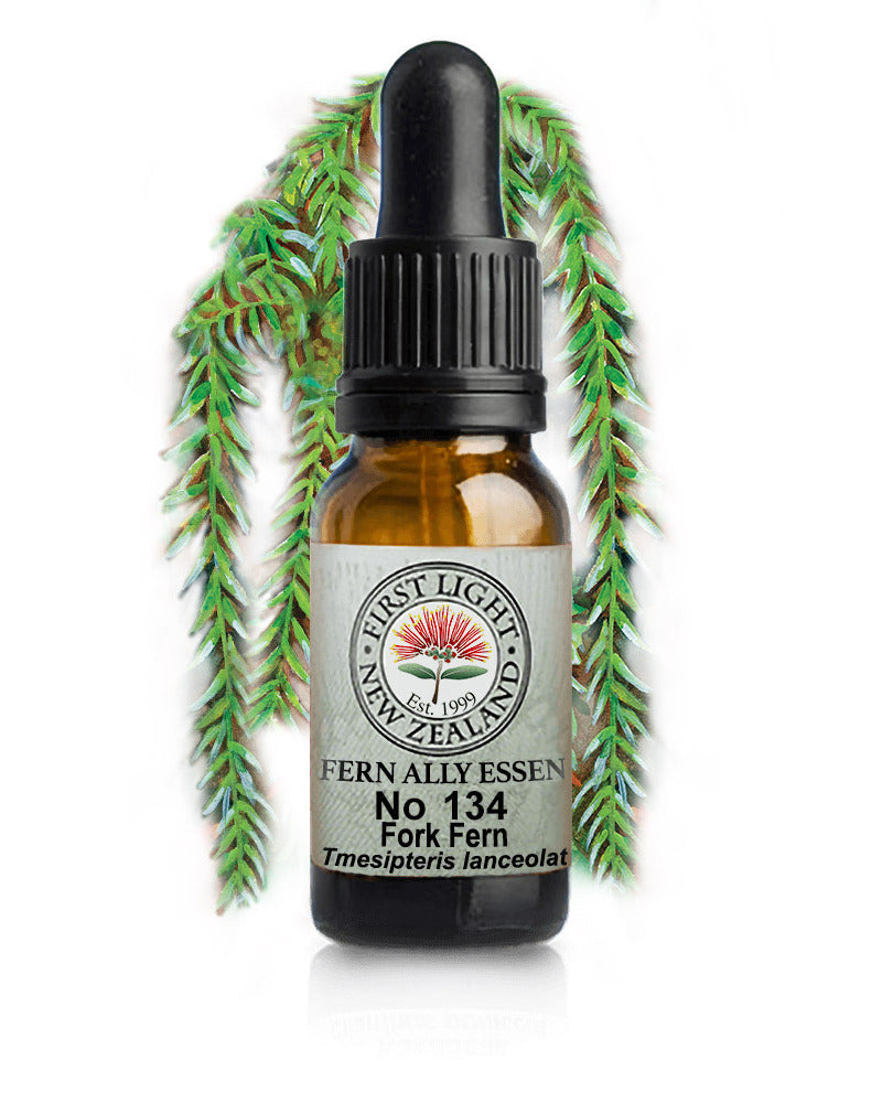 No 134 Fork Fern flower essence, 10ml stock oral dropper bottle