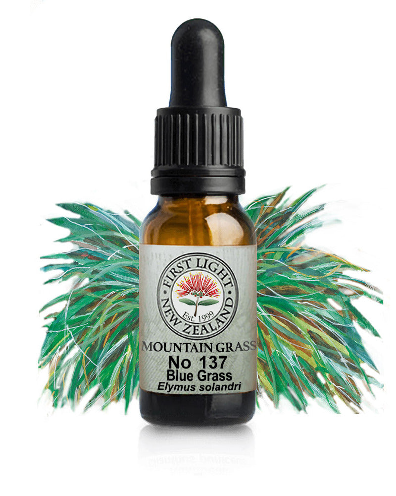 No 137 Blue Grass flower essence, 10ml stock oral dropper bottle