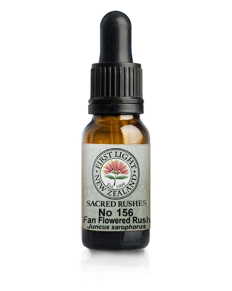 No 156 Fan Flowered Rush flower essence, 10ml stock oral dropper bottle