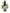 No 17 Akepiro flower essence, 10ml stock oral dropper bottle