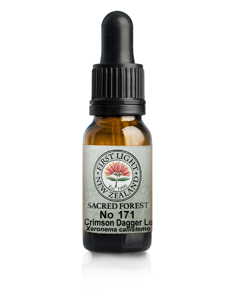 No 171 Crimson Dagger Leafed Lily flower essence, 10ml stock oral dropper bottle