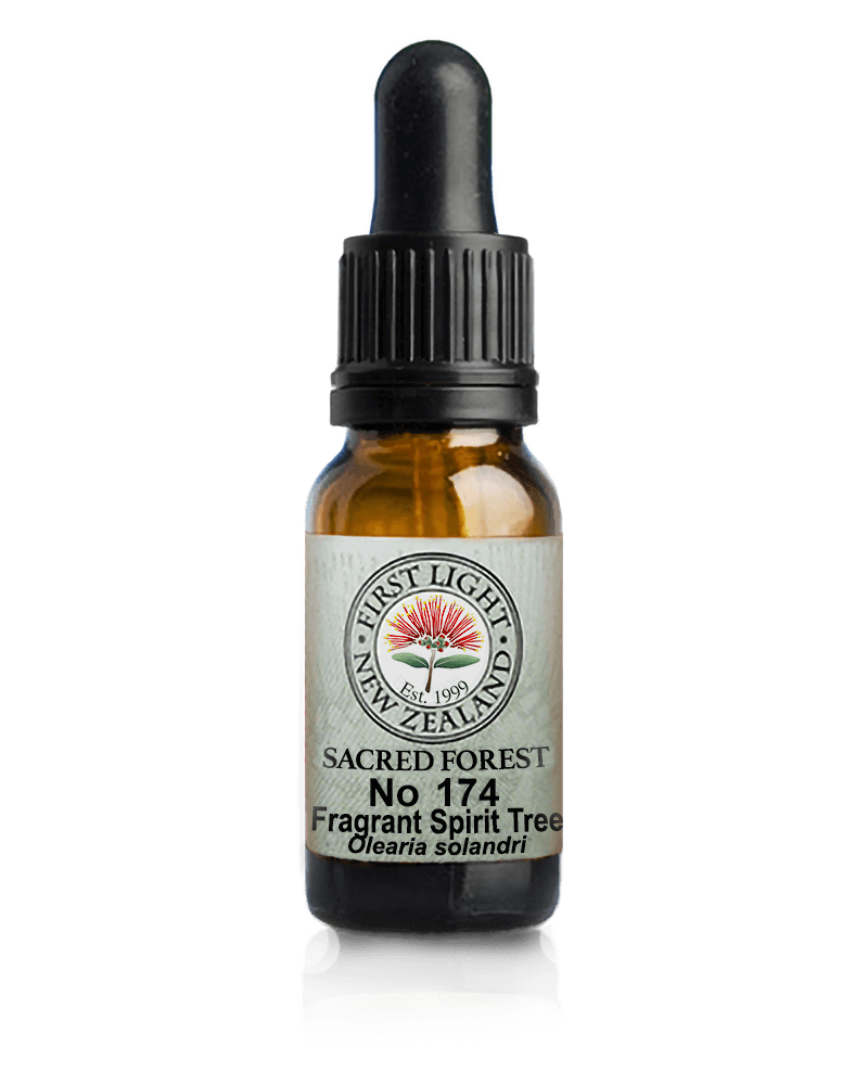 No 174 Fragrant Spirit Tree flower essence, 10ml stock oral dropper bottle