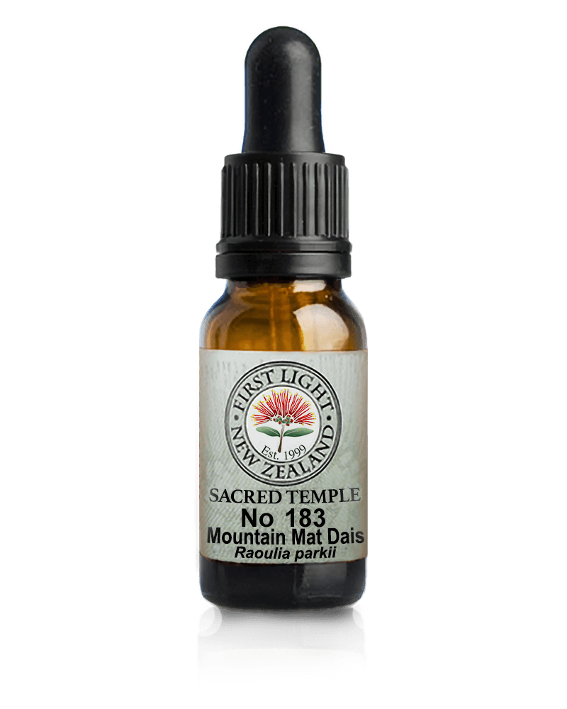 No 183 Mountain Mat Daisy flower essence, 10ml stock oral dropper bottle