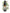 No 19 Lovers Daisy flower essence, 10ml stock oral dropper bottle