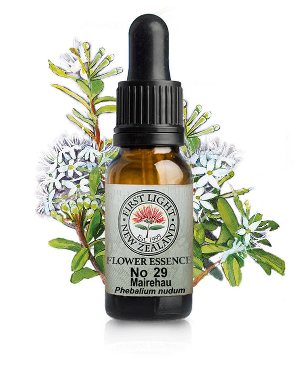 No 29 Mairehau flower essence, 10ml stock oral dropper bottle