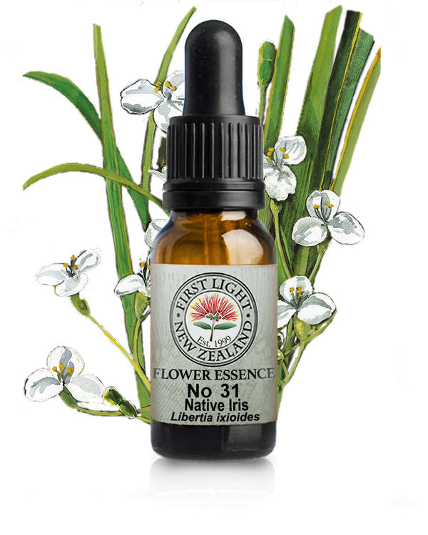 No 31 Native Iris flower essence, 10ml stock oral dropper bottle