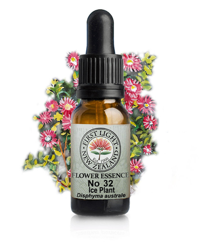 No 32 Ice Plant flower essence, 10ml stock oral dropper bottle