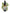 No 34 Heketara flower essence, 10ml stock oral dropper bottle
