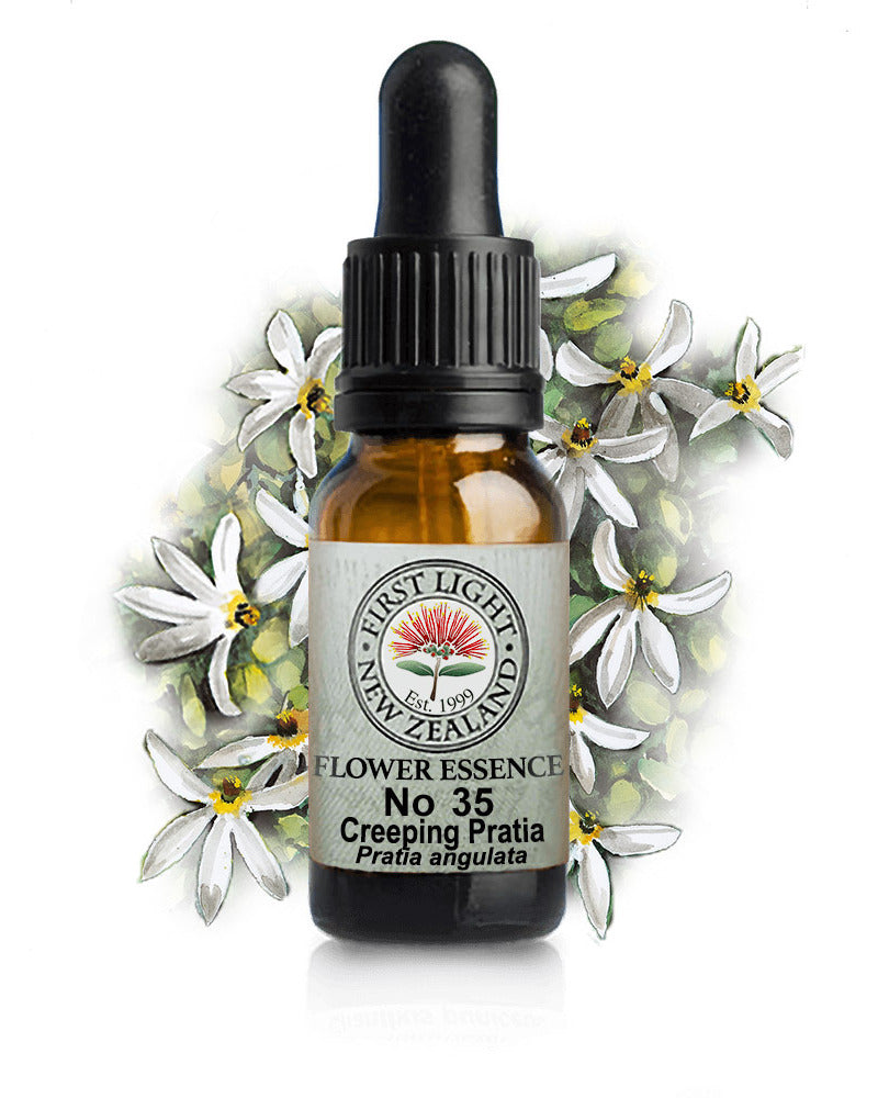 No 35 Creeping Pratia flower essence, 10ml stock oral dropper bottle