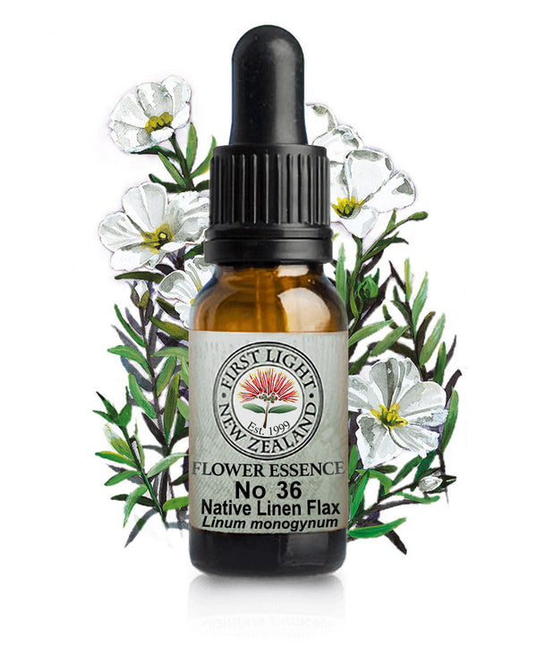 No 36 Native Linen Flax flower essence, 10ml stock oral dropper bottle