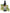 No 37 King Fern flower essence, 10ml stock oral dropper bottle