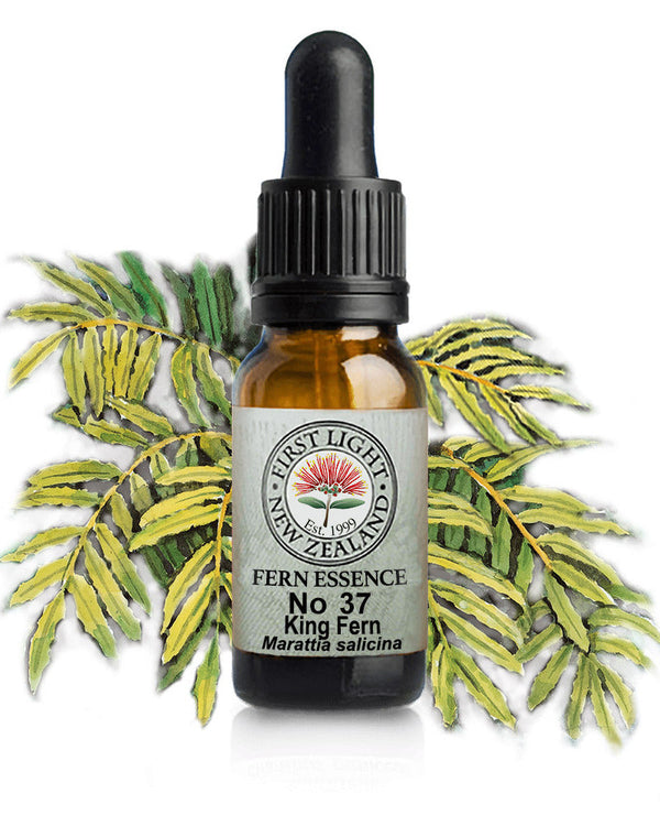 No 37 King Fern flower essence, 10ml stock oral dropper bottle