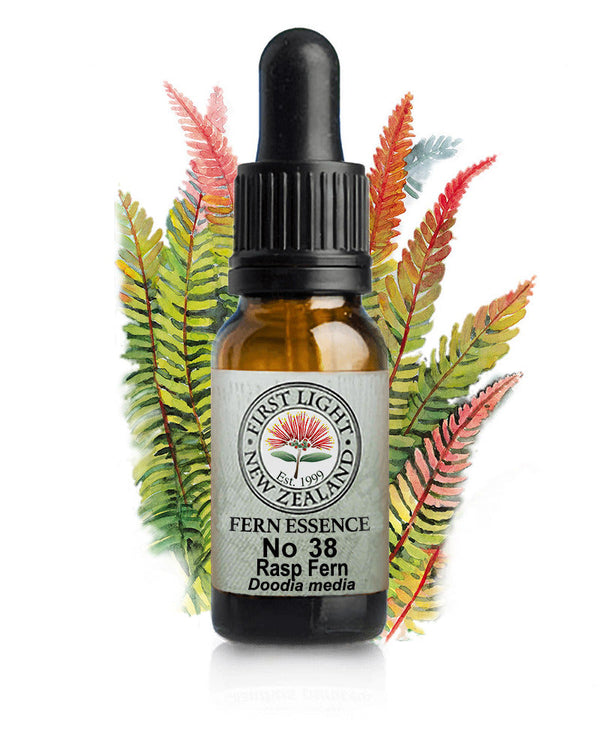 No 38 Rasp Fern flower essence, 10ml stock oral dropper bottle