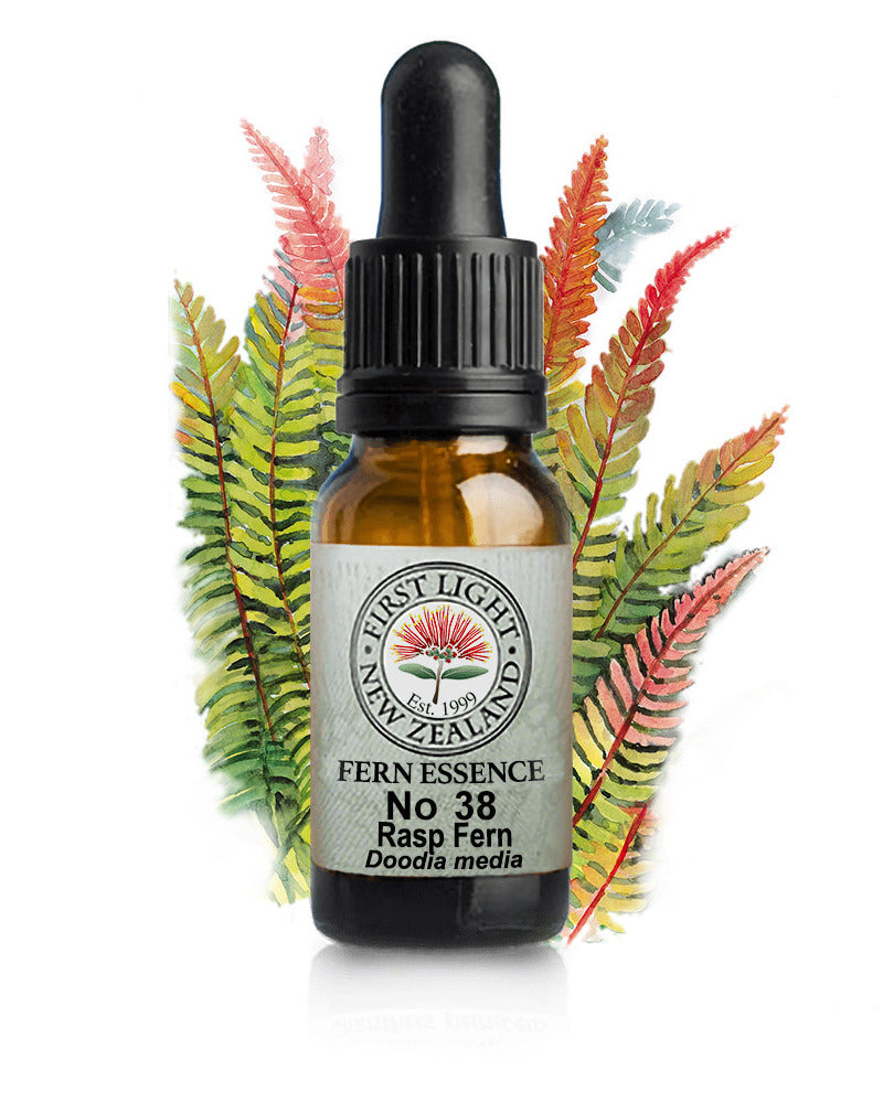 No 38 Rasp Fern flower essence, 10ml stock oral dropper bottle