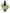 No 39 Shaking Brake Fern flower essence, 10ml stock oral dropper bottle