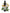 No 4 Marlborough Rock Daisy flower essence, 10ml stock oral dropper bottle