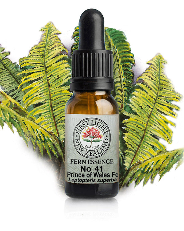 No 41 Prince of Wales Feathers Fern flower essence, 10ml stock oral dropper bottle