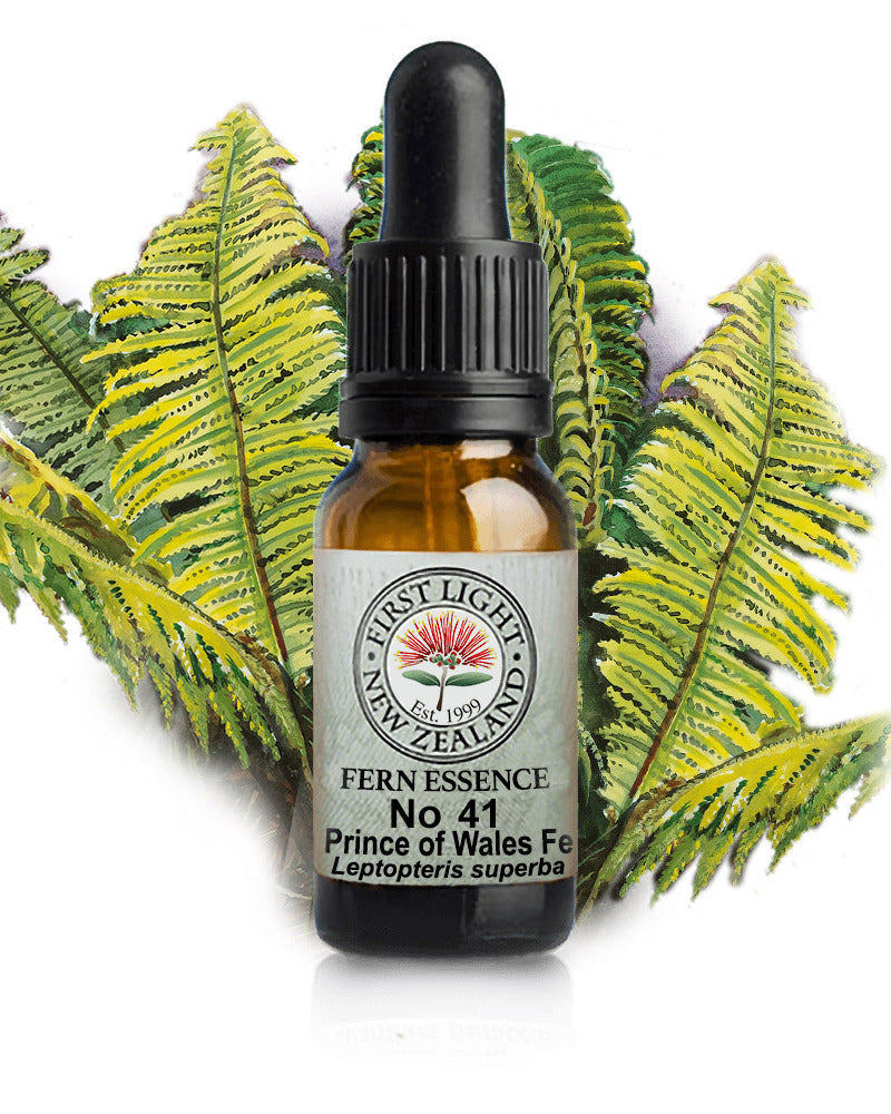 No 41 Prince of Wales Feathers Fern flower essence, 10ml stock oral dropper bottle