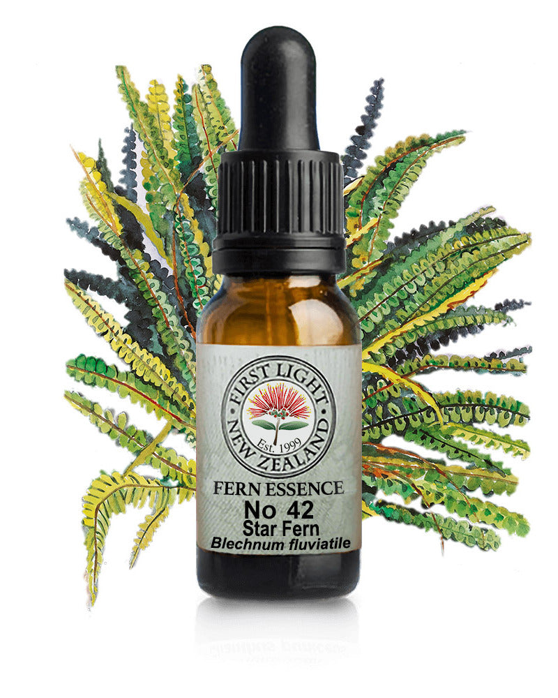 No 42 Star Fern flower essence, 10ml stock oral dropper bottle