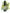 No 43 Plumed Maidenhair Fern flower essence, 10ml stock oral dropper bottle