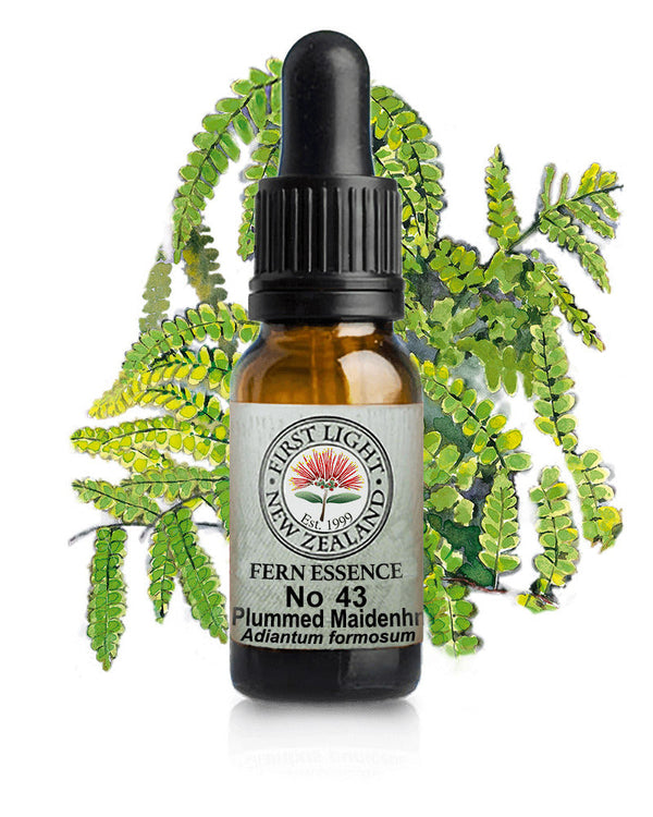 No 43 Plumed Maidenhair Fern flower essence, 10ml stock oral dropper bottle