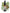 No 47 Kauri flower essence, 10ml stock oral dropper bottle