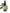 No 5 Native Passionfruit flower essence, 10ml stock oral dropper bottle