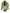 No 50 Rimu flower essence, 10ml stock oral dropper bottle