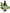 No 51 Broadleaf flower essence, 10ml stock oral dropper bottle