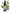 No 54 Houpara flower essence, 10ml stock oral dropper bottle