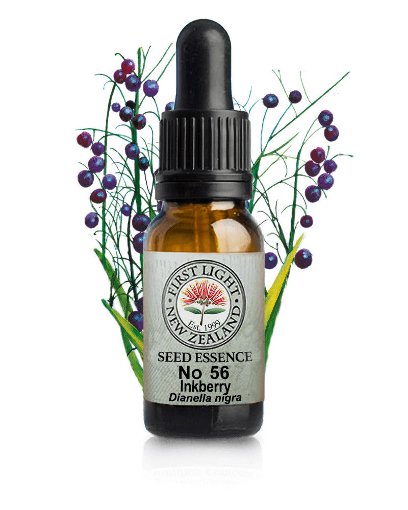 No 56 Inkberry flower essence, 10ml stock oral dropper bottle