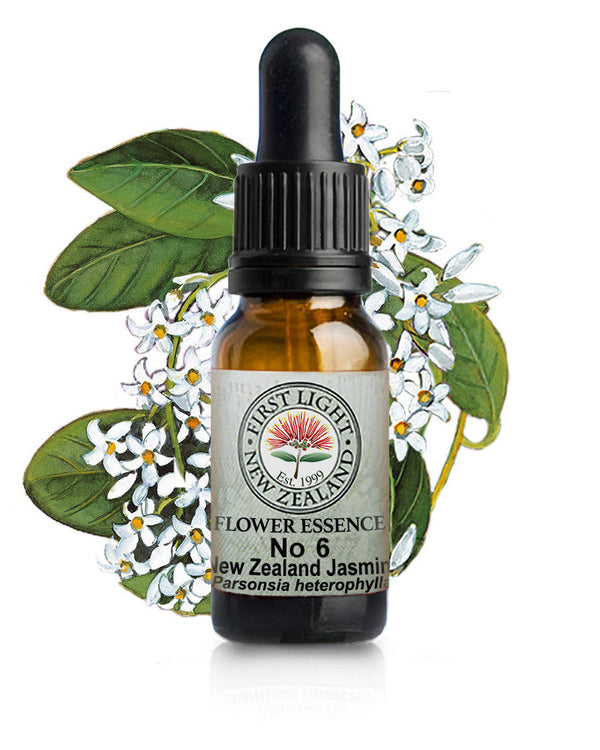 No 6 New Zealand Jasmine flower essence, 10ml stock oral dropper bottle
